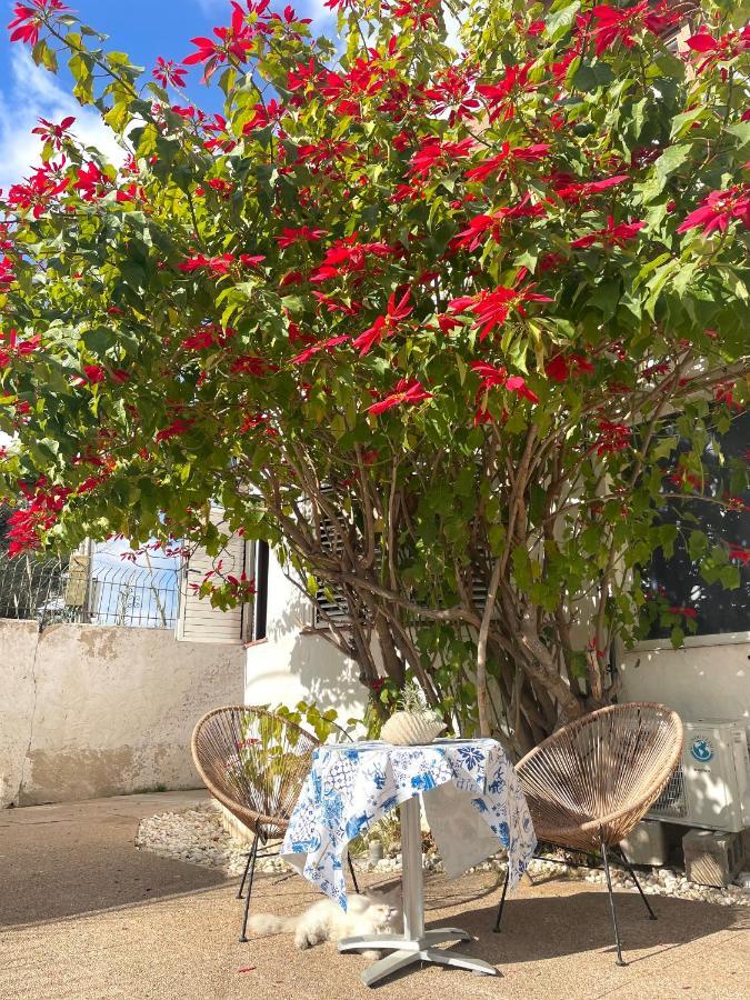 Villa Sa Torre Ibiza Kültér fotó